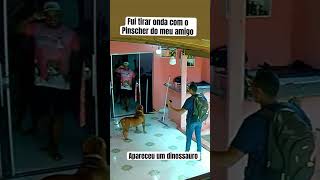 PIT MONSTER X PINSCHER quase me deu ruim [upl. by Ailiec]