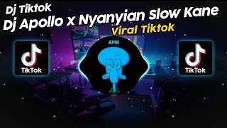 DJ APOLLO x NYANYIAN SLOW KANE DJ DANVATA VIRAL TIK TOK TERBARU 2024 [upl. by Eitra]