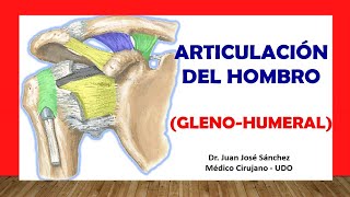 🥇 ARTICULACIÓN DEL HOMBRO Glenohumeral Fácil Rápida y Sencilla [upl. by Nnaassilem978]