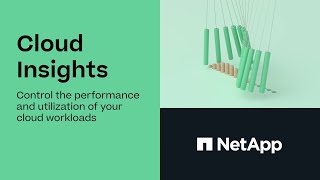 NetApp Cloud Insights [upl. by Hsevahb747]