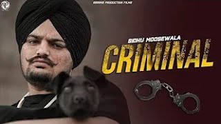 YOUNG THUG Full Video Sidhu Moosewala x Shubh  Punjabi GTA Video 2022  Birring Productions [upl. by Eniarrol]