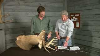 How to score a deer [upl. by Teresa]