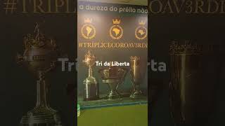 palmeiras  tri campeão da libertadores [upl. by Rayburn]