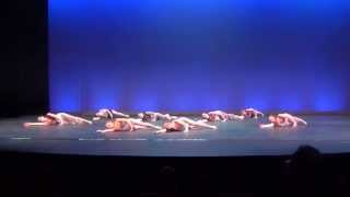 quotEach Otherquot  1er prix Concours de danse modernjazz adultes amateurs 2013 [upl. by Grata]