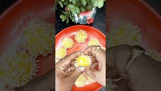 😬কামড় বসান কদম ফুলে shorts yutubeshorts recipe cooking palm food reels pitharecipe [upl. by Lezah]