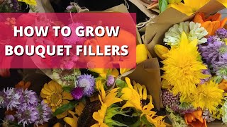 BOUQUET FILLERS how to grow Forgetmenots and STATICE from seed to first true leaves  flowerFARM [upl. by Laurence]