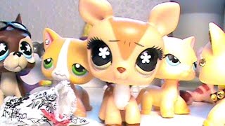 LPS Behind the Stepsisters [upl. by Goddord144]