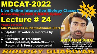 WATER AND MINERAL UPTAKE BY ROOT  APOPLAST AND SYMPLAST PATHWAY  ASCENT OF SAP  11 CLASS BIO [upl. by Ednargel402]