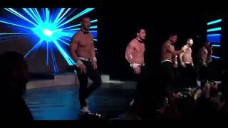 Chippendales male revue Las Vegas show finale [upl. by Seko]