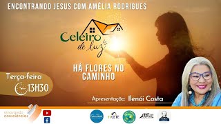 HÁ FLORES NO CAMINHO  Celeiro de Luz  ILENÓI COSTA  SE [upl. by Anasor]