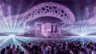 This is Sensation [upl. by Melania]