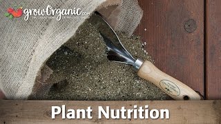 What NPK Means and Other Plant Nutrient Tips [upl. by Anaet]