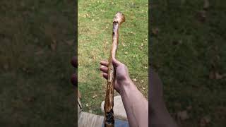 Spiked Shillelagh American Ash wood handmade shillelagh [upl. by Ahsart]