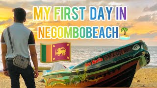 My First Day In Srilanka 🇱🇰 Vlog 3  Negombo Beach 🏝️  Catamaran hotel [upl. by Sane]