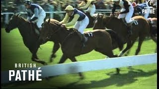 The Grand National 1968 [upl. by Airitac]