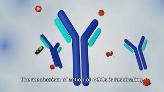 Unraveling the Power of AntibodyOligonucleotide Conjugates [upl. by Haletta]