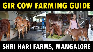 Gir Cow Farming Complete Guide  Shri Hari Dairy Farm Mangalore [upl. by Pitt]