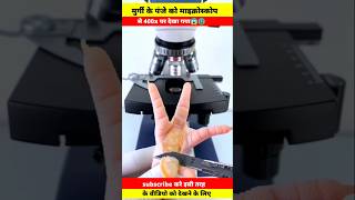 Chicken feet🐾पंजा undar the microscope।meat view facts shortvideo shorts short shortsvideo [upl. by Ecirtael]