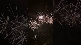 Fireworks 2024 fireworks fireworkshorts [upl. by Boaten]