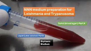 NNN medium preparation for Leishmania and Trypanosoma step by step visual Demo [upl. by Aynor]