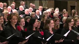 JUBILATE DEO olv Marco den Toom  Halleluja Beethoven [upl. by Nner]