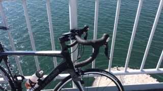 2014 Cannondale Synapse Carbon 5 105 at Jamaica Bay [upl. by Alburg]