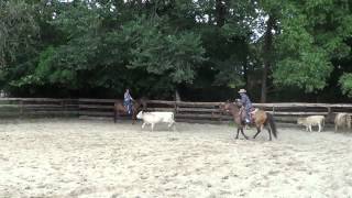 Californio Traditions Horsemanship [upl. by Melodee]