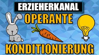 Operante Konditionierung  das operante konditionieren nach Skinner einfach erklärt ERZIEHERKANAL [upl. by Fair]