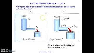 Clase Hemodinamia parte II [upl. by Lorelie]