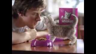 WHISKAS®  Moeder TV Reclame [upl. by Esilahs]