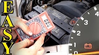 How to Test a Car Battery with a Multimeter [upl. by Shaper]