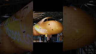 Scoot Edit ⭐✈️  aviation avgeeks planes flight airplane scoot embraer e190 [upl. by Atterbury]