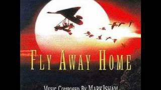 Fly Away Home Soundtrack  10000 Miles With Lyrics [upl. by Tina]