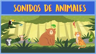 👉 Conoce los sonidos de los animales de Selva 🐺🦜🐍 [upl. by Ioyal]