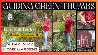 HOME GARDENS UPDATE  SOIL TESTING  OH DEER  SEED COLLECTING  GROWING ECHINACEA [upl. by Donica]