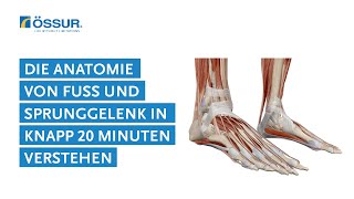 Für OrthopädietechnikerInnen in knapp 20 Minuten die Anatomie von Fuß und Sprunggelenk verstehen [upl. by Haswell]