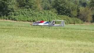 RC Plane Boomerang Elan [upl. by Luhem]