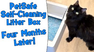 PetSafe SelfCleaning Litter Box 4 Months Later [upl. by Ley]