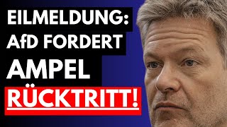 💥SENSATION AfD ENTHÜLLT GRÜNEN SKANDAL  MUSS HABECK ZURÜCKTRETEN💥 [upl. by Reppep187]