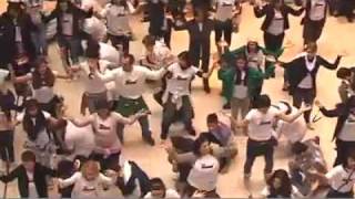 Flash Mob TUTTI PAZZI PER AMORE 2  Official Video [upl. by Nyrhtak892]