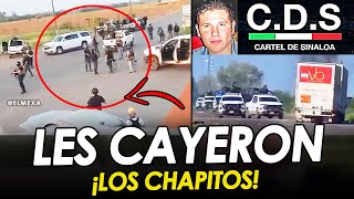 CONVOY de PISTOLEROS de quotLOS CHAPITOSquot ATACAN PLAZAS del MAYITO FLACO en SINALOA [upl. by Leontine783]