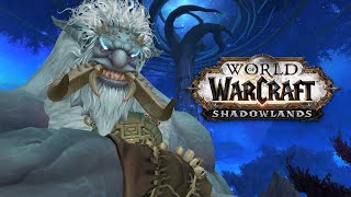 Die Kampagne der Nachtfae 2 Gestohlene Loa  WoW Shadowlands Story [upl. by Guevara]