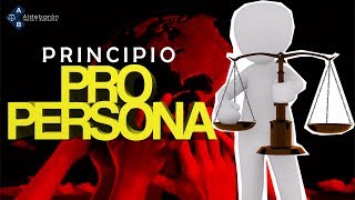 Principio PRO PERSONA  bien explicado HD [upl. by Dincolo]