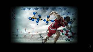 ATP Adenosine TriPhosphate  Binaural Performance Enhancer Increased Power Strength Speed [upl. by Ortiz]