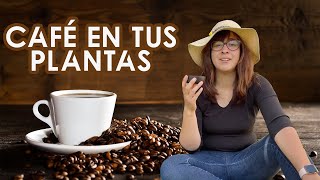 5 BENEFICIOS que tiene el CAFÉ en tus plantas ☕️🌸🌹¡Úsalo como abono casero [upl. by Bore540]