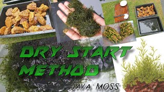 DRY START METHOD JAVA MOSS  aquarium planted [upl. by Shay]