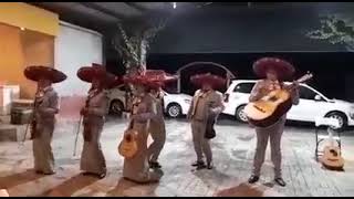 EL PAVIDO NAVIDO CON MARIACHI VIVA MEXICO NG DE CLOETE COAHUILA MARIACHITEL 861 113 93 68 [upl. by Siuraj295]