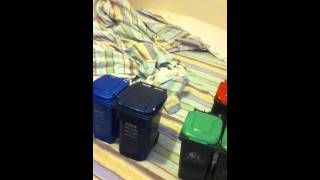 my mini bin collection [upl. by Arinaid]