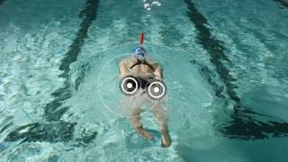 Front Crawl Swimming Drills  Glute Kick [upl. by Enilram]