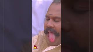 அந்த பாம்பு எங்க போகுதுனு Follow பண்ணுடா shorts  KalaignarTVMovies [upl. by Mazur]